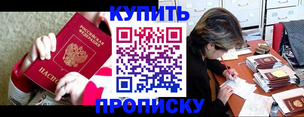 прописка в квартире в Новом Осколе